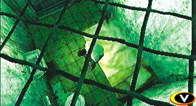 20080319_016