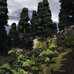20080728_008