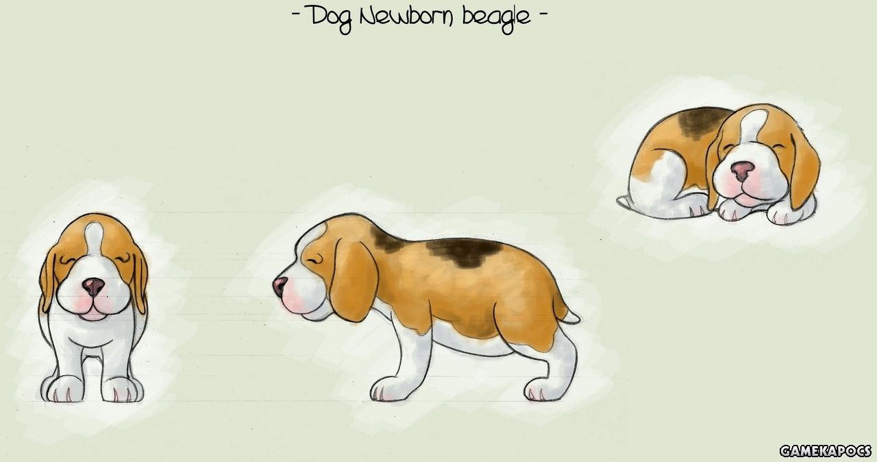 20081019_023