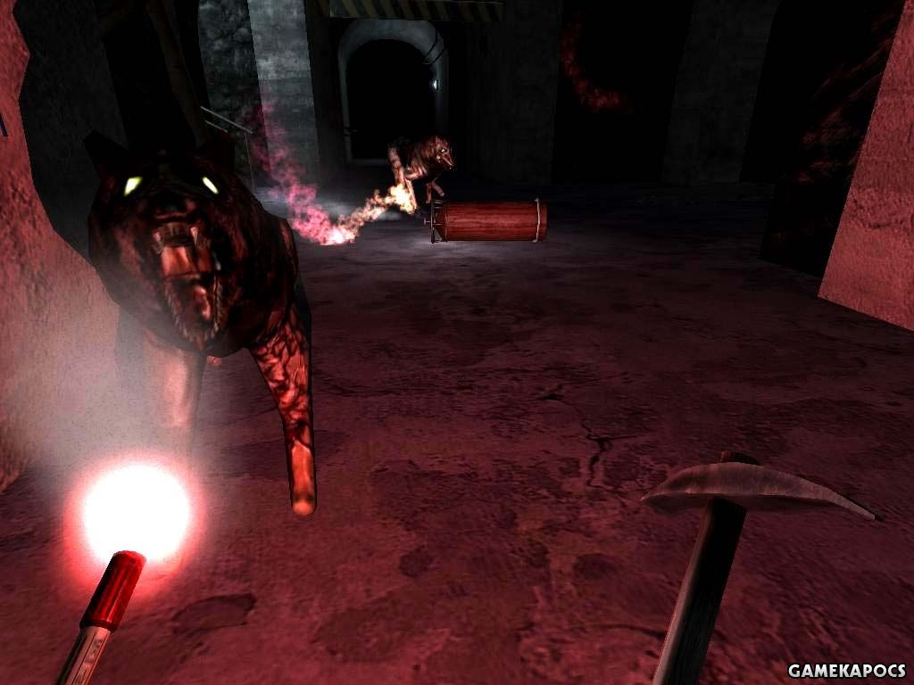 20090223_008