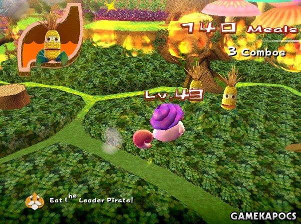 20090525_067