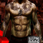 sleepingdogs