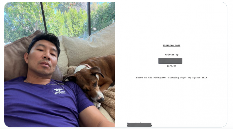 Sleeping Dogs