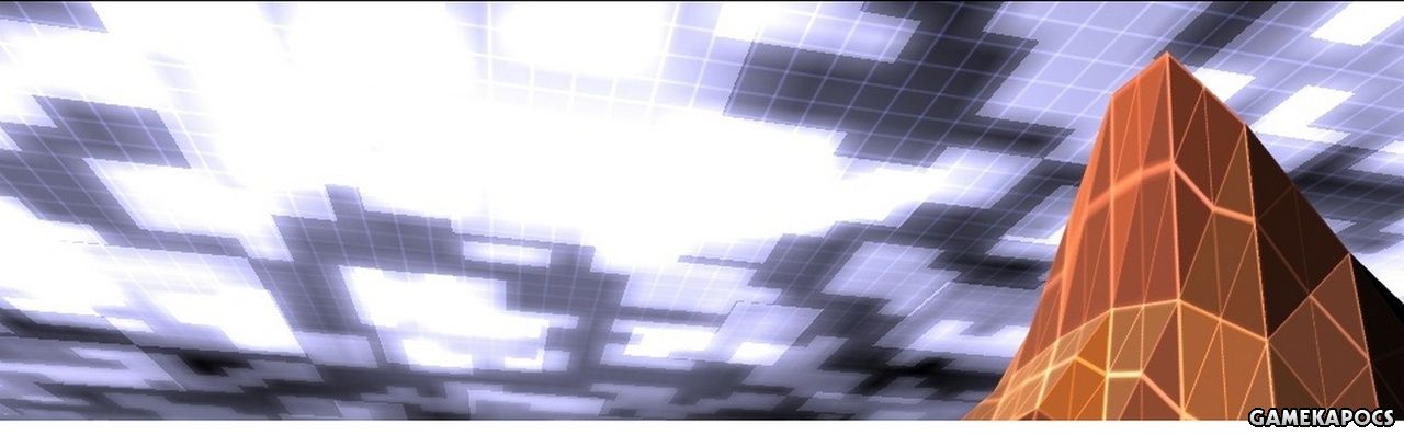 20100208_007