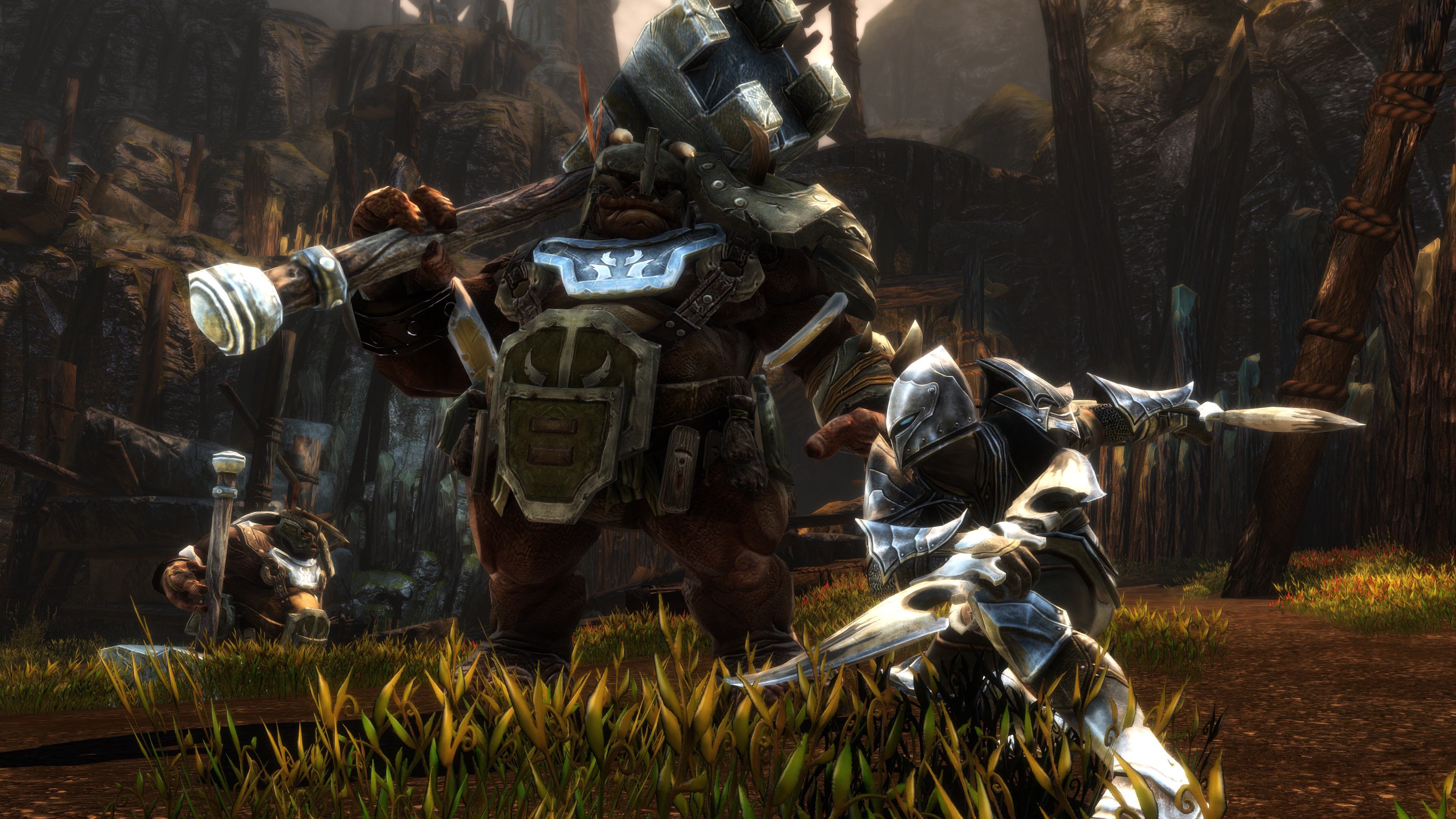 KingdomsofAmalurRe-ReckoningScreen5