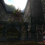 20100726_007