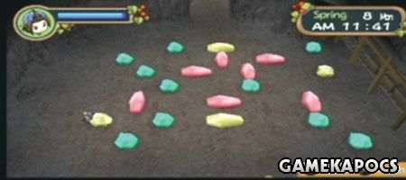 20100426_021