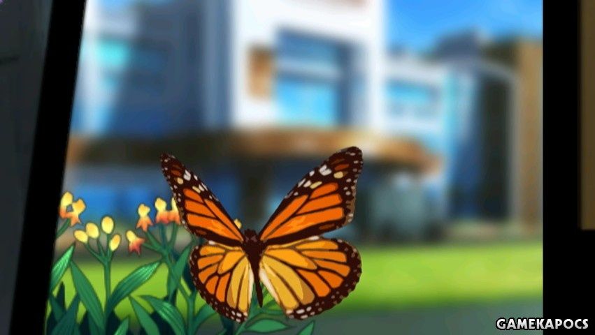 20100517_044