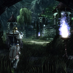 20120510neverwinter09
