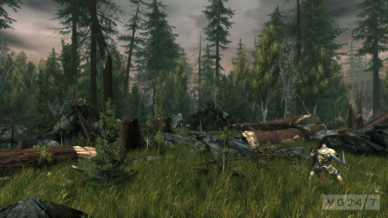 20120510neverwinter18
