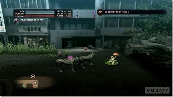 20120604tokyojungle11