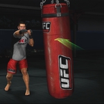 punching_bag_1