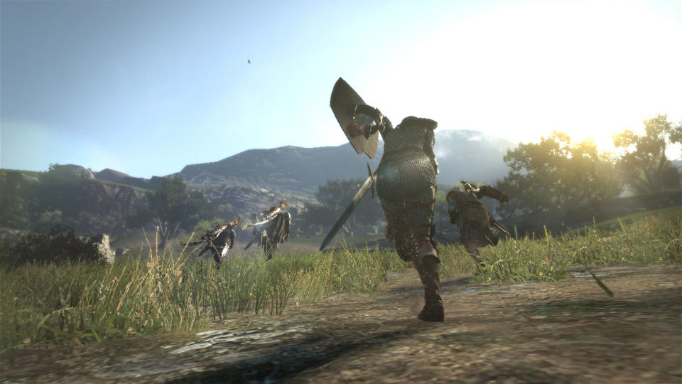 20110530dragonsdogma01