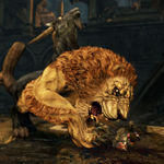 20110711dragonsdogma15
