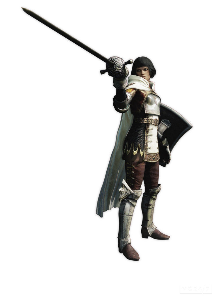 20110711dragonsdogma18