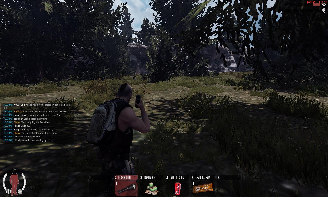 WarZ2012-11-1911-26-20-47