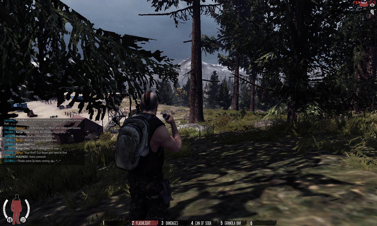 WarZ2012-11-1911-26-30-18