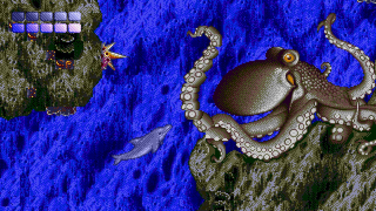ecco_01