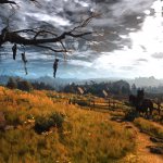 witcher3_nexusmod_5