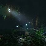 soma