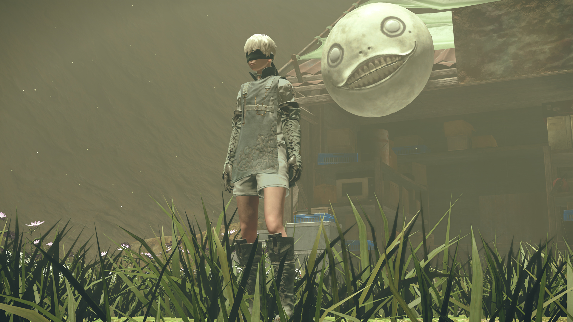 nierdlc3