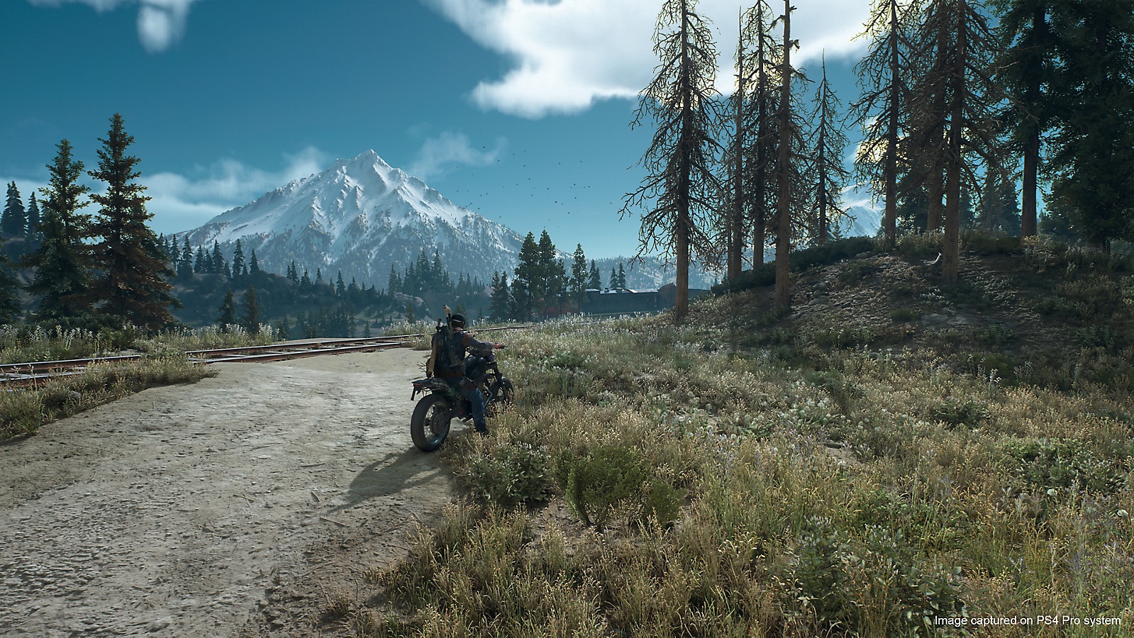 days-gone-wedding-site-screen-03-ps4-us-05feb19
