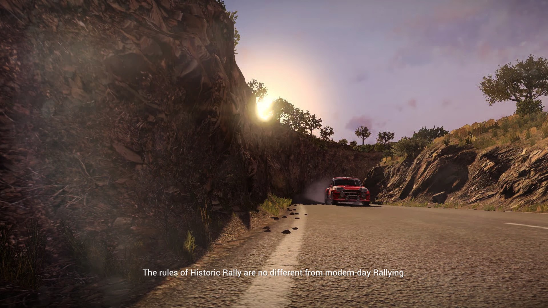 DIRT4014