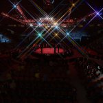 UFC300033