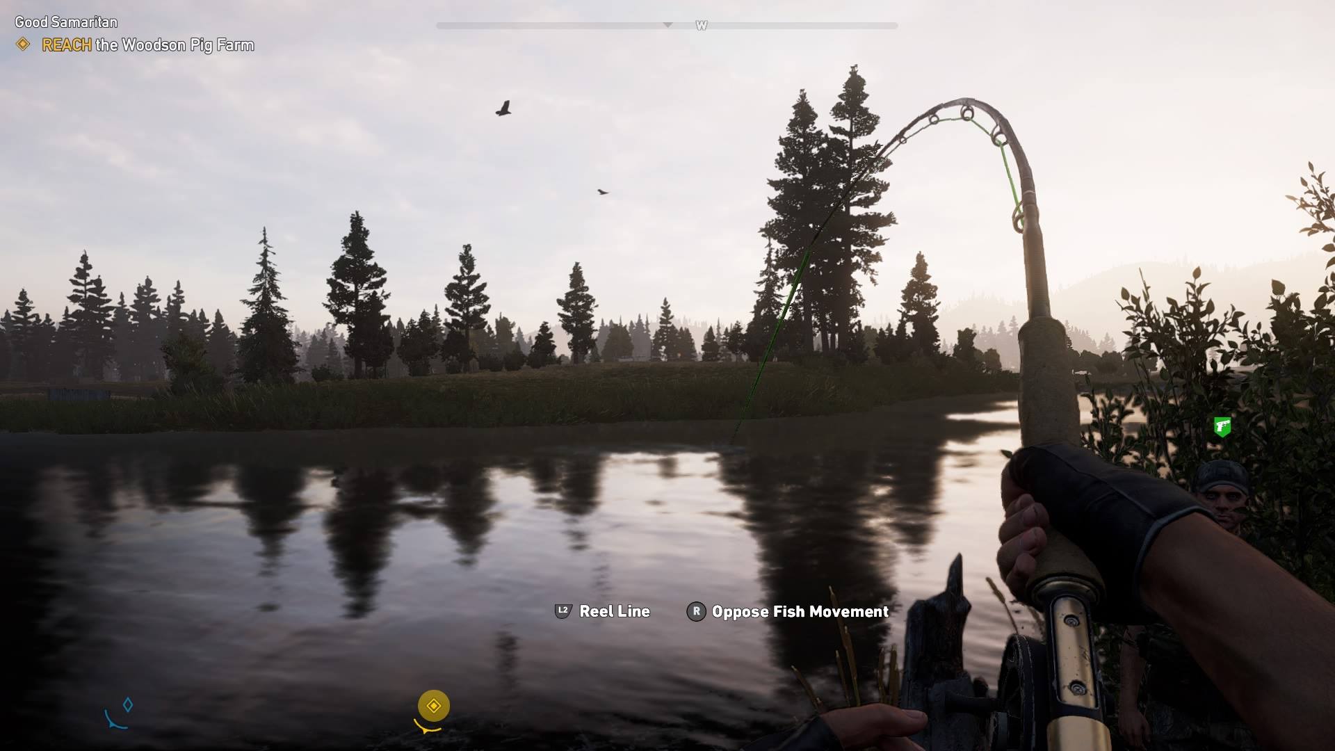 007