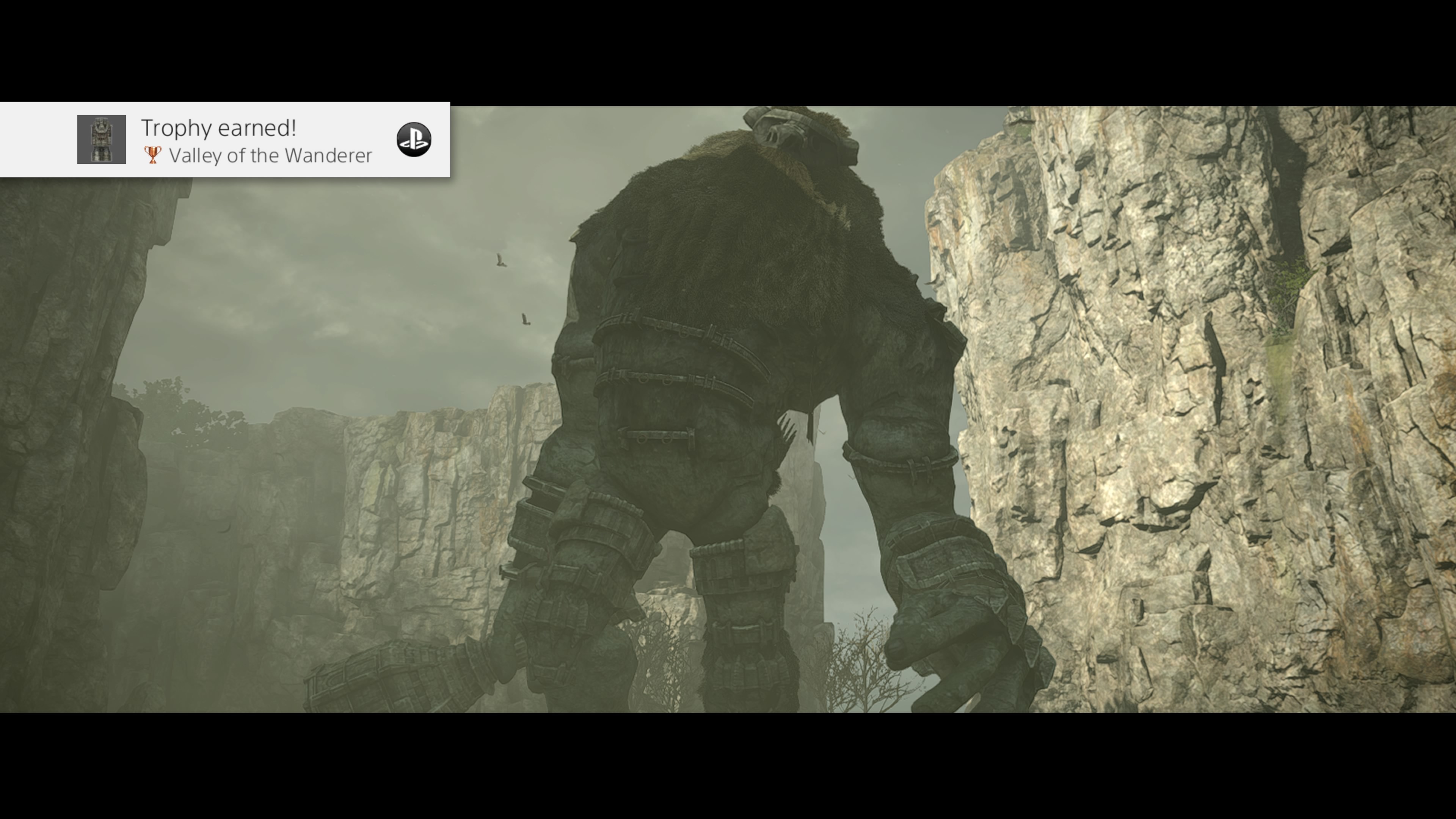 SHADOWOFTHECOLOSSUS_20180127184602