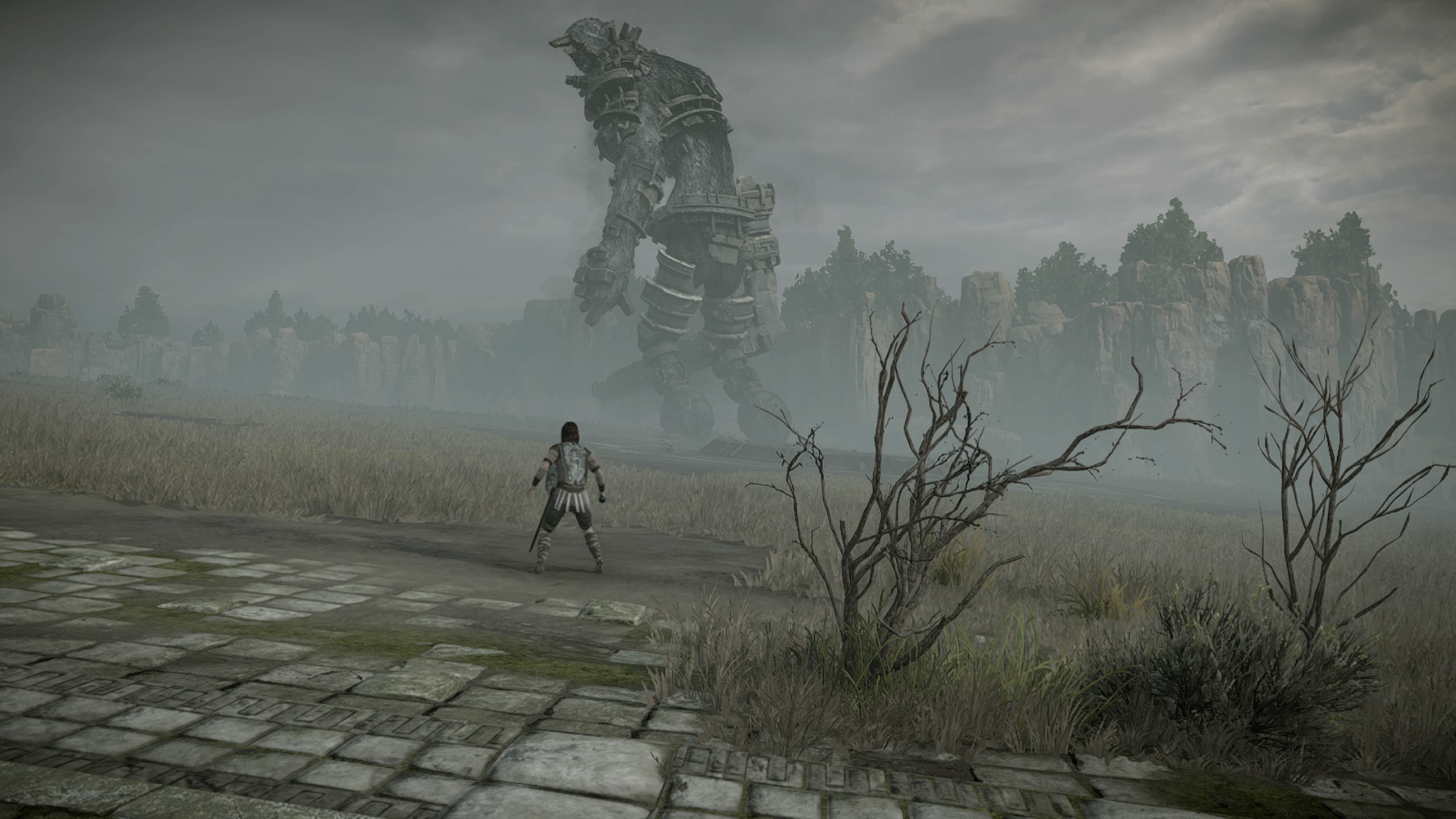 SHADOWOFTHECOLOSSUS_20180127195951