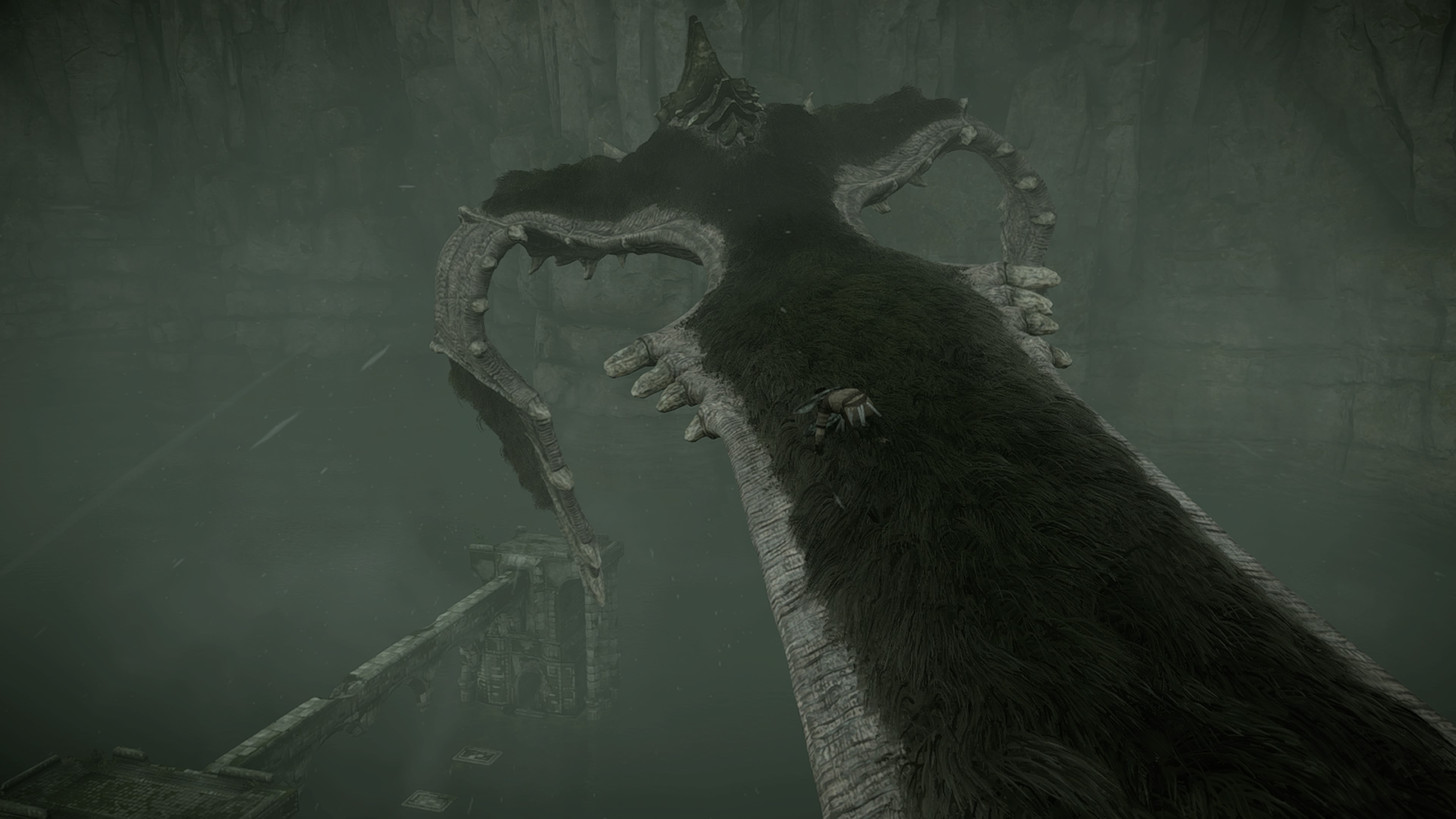 SHADOWOFTHECOLOSSUS_20180130202652