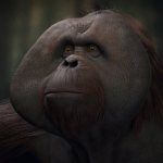 planet-of-the-apes