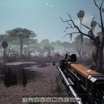 Swamp