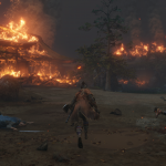 sekiro19