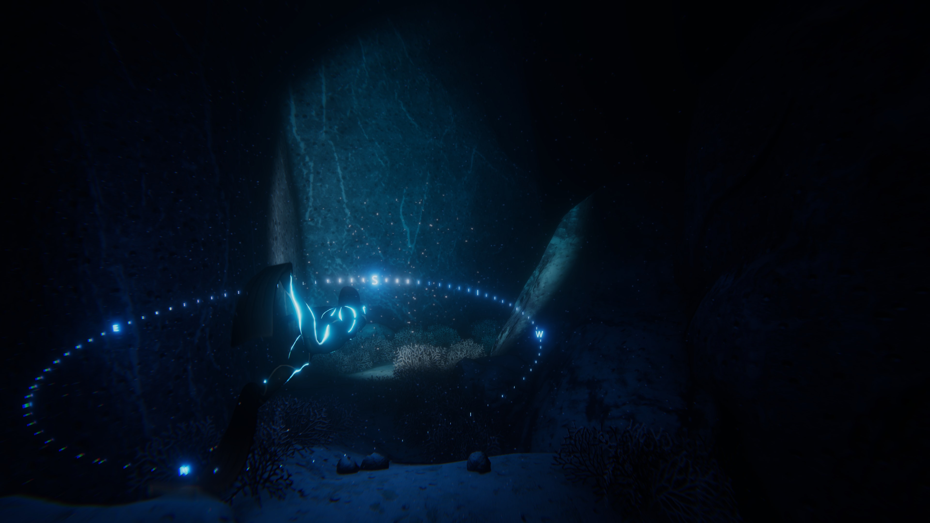 diver-heading-south