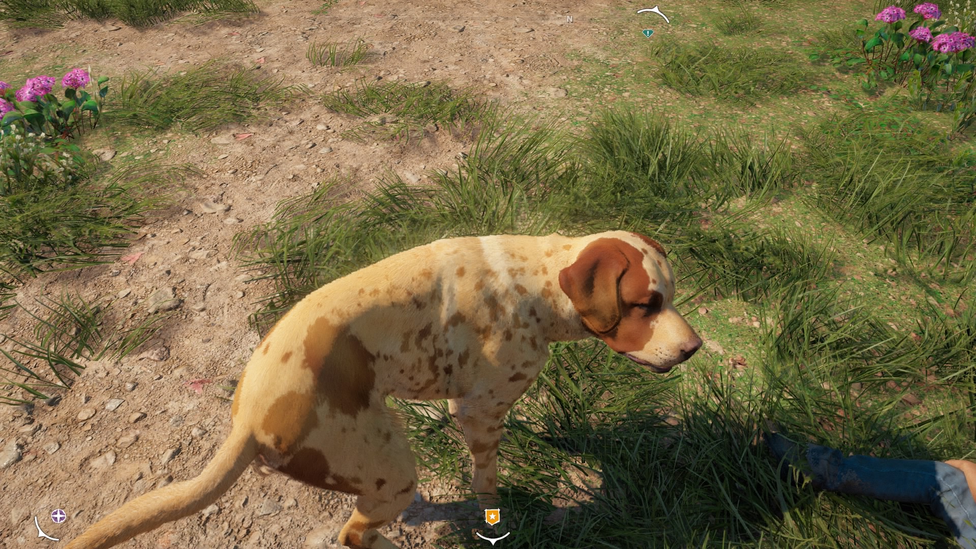 FarCryNewDawn_20190207175934