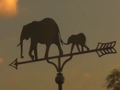 Befutott a Dumbo-mozifilm első előzetese