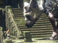 E3 2015: The Last Guardian - mégsem 2016-ban?