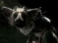 GDC 2011: Videón a The Last Guardian